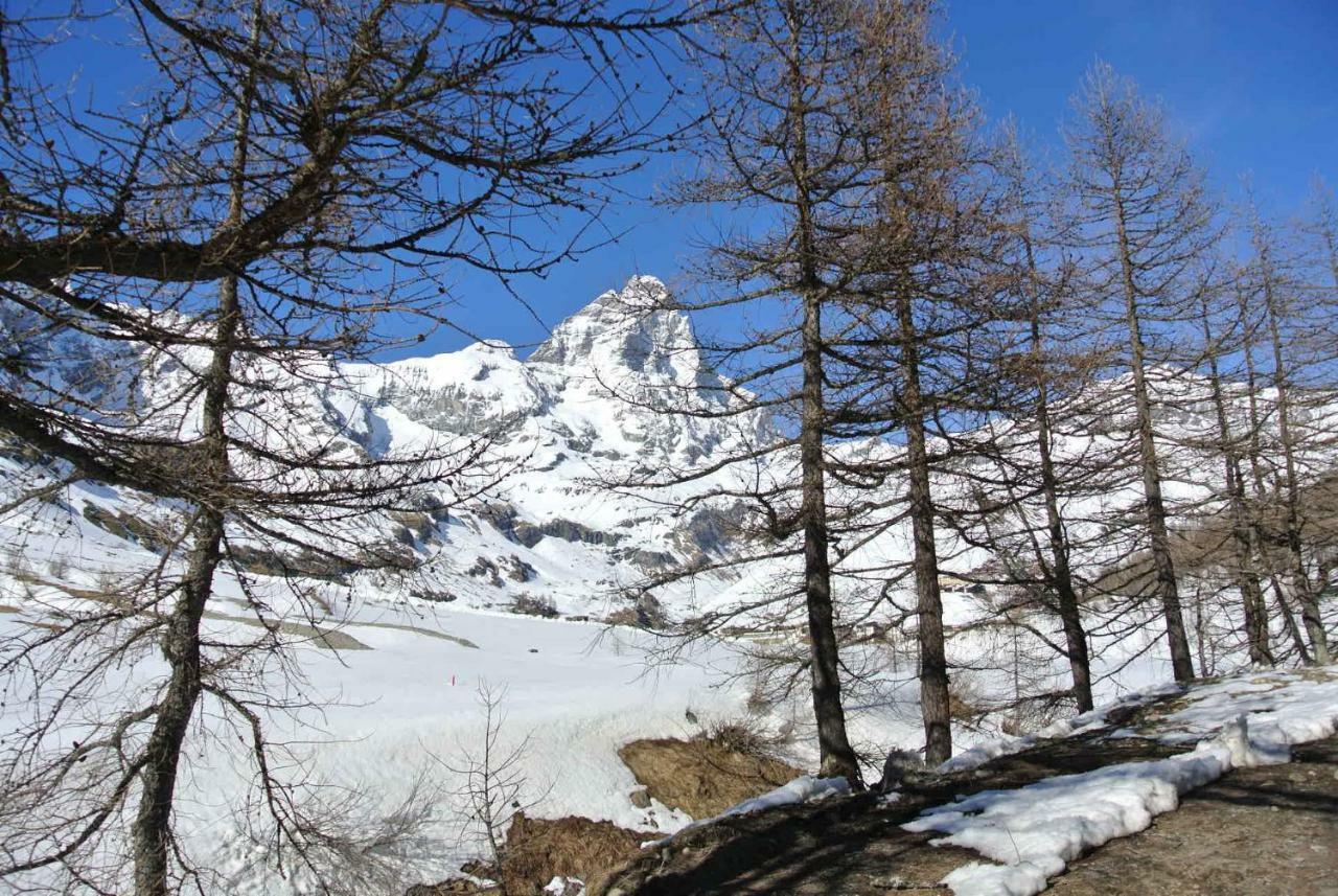 President Palace - Breuil Cervinia -Appartamento 6 - Cir 0634 Екстериор снимка