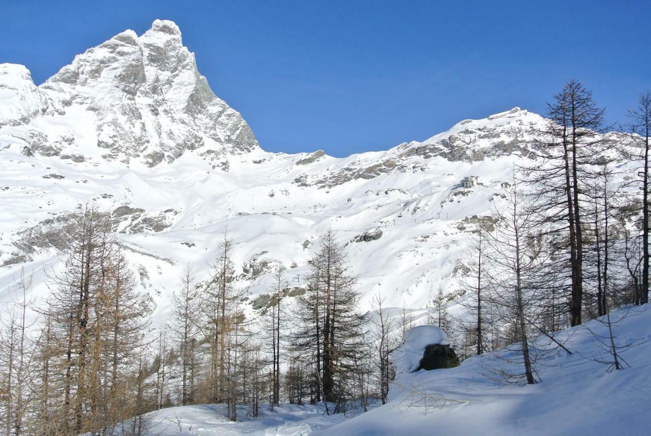 President Palace - Breuil Cervinia -Appartamento 6 - Cir 0634 Екстериор снимка